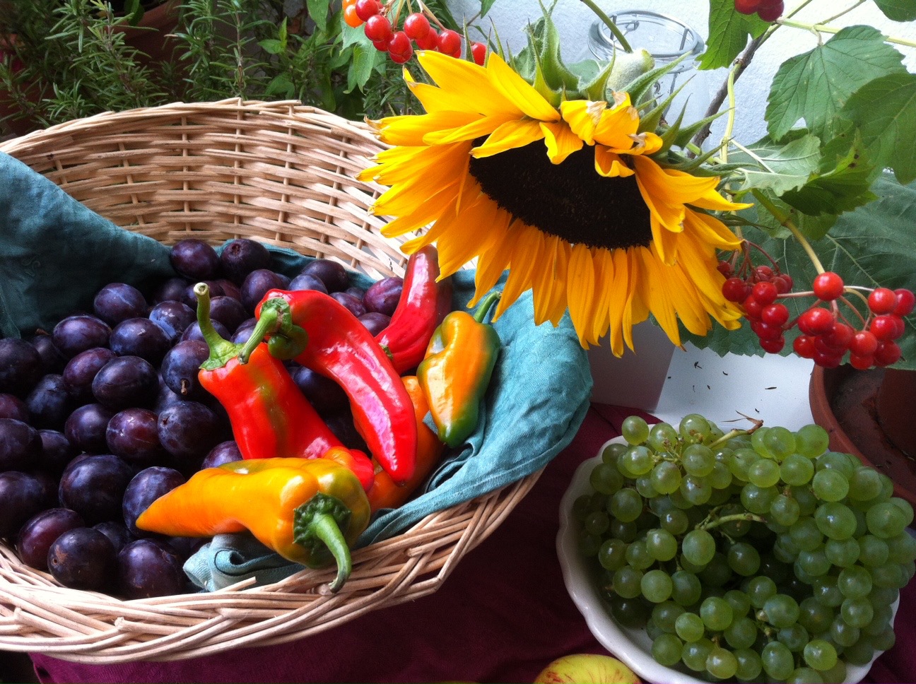 30.10.26 Mediterrane herbstliche Gemüse und Kräuterküche vegetarisch
