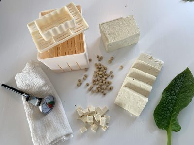 Tofu DIY Starterset
